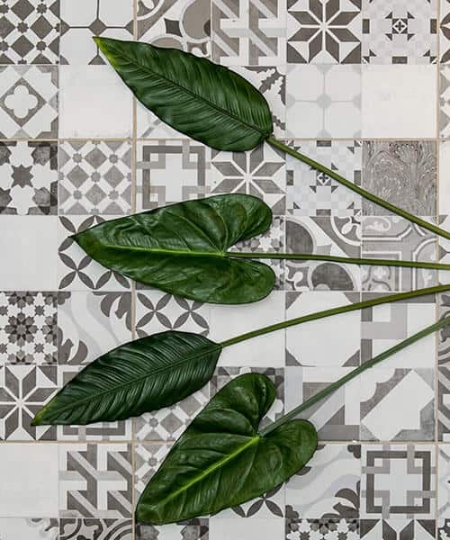 Black & white tiles with palm leaves laid out on top